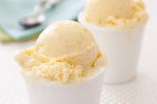 Vanilla Ice Cream 