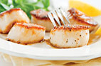 Pan-Seared Scallops