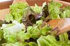 Leafy Green Salad