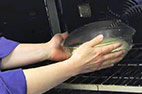 Proofing Bread