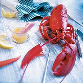 Pan Roasted Lobster 
